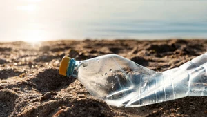 Polacy przyznają się do zostawiania odpadów na plaży. Głównie plastiku