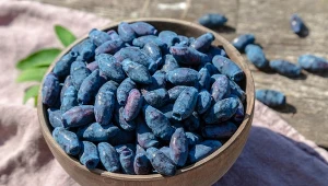 Regulują cukier, mają mnóstwo antyoksydantów. Warto jeść na przekąskę