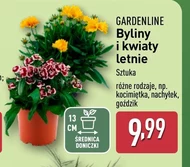 Багаторічні рослини Gardenline