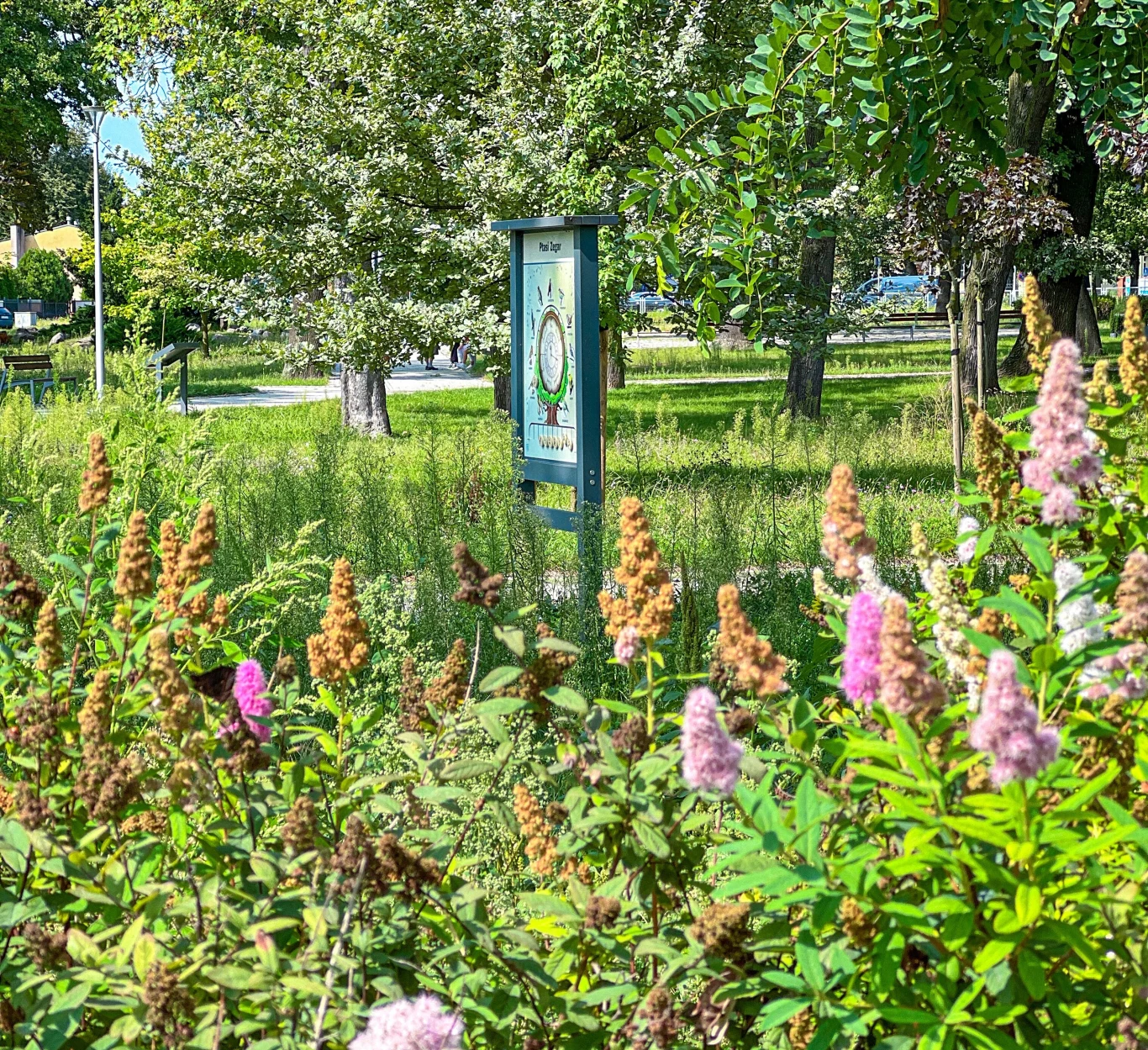 Kolorowe kwiaty i krzewy na pierwszym planie, tablica informacyjna pośrodku otoczona zielenią, w tle drzewa i fragment ulicy