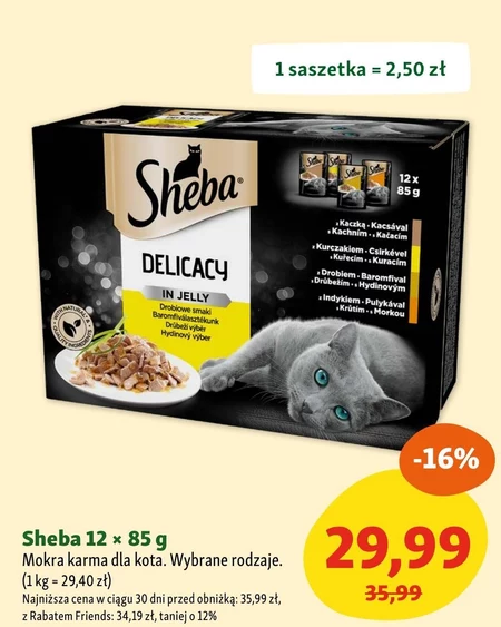 Mokra karma dla kota Sheba