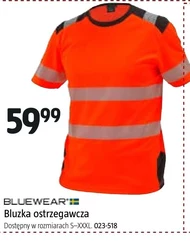 Bluzka Bluewear