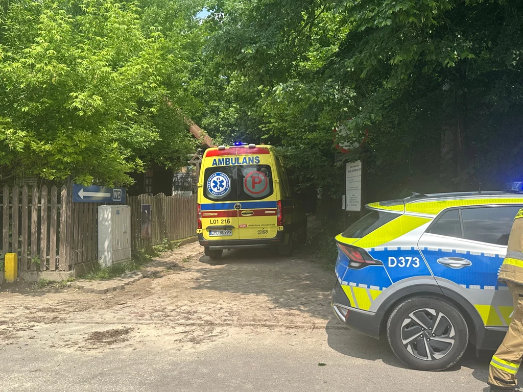 Konar odłamał się z drzewa i spadł na wycieczkę szkolną w Kazimierzu Dolnym Konar odłamał się z drzewa i spadł na wycieczkę szkolną w Kazimierzu Dolnym