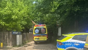 Konar spadł na wycieczkę szkolną. Kilkanaścioro dzieci poszkodowanych