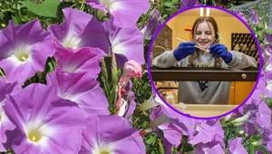 Wielkie odkrycie studentki. Nowy gatunek magicznych grzybków