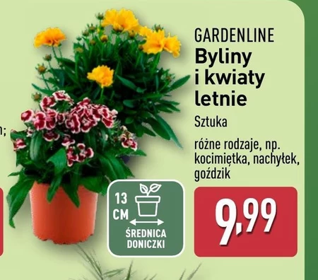 Багаторічні рослини Gardenline