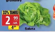 Sałata