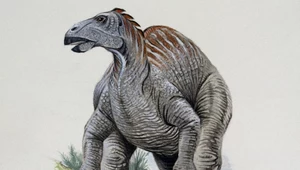 Dinozaur z Europy może przynieść odpowiedź, jak walczyć z rakiem