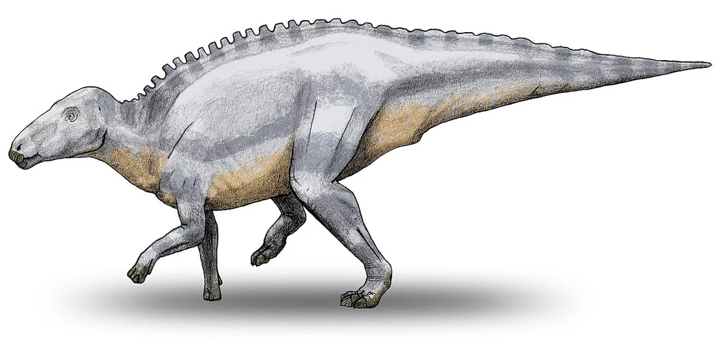 Telmatozaur osiągał 5 metrów długości, zatem wielkość nosorożca Dinozaur o masywnym ciele, czterech kończynach i długim ogonie, pokryty szarą skórą z jasnobeżowym brzuchem, posiadający charakterystyczne wypukłości na grzbiecie.