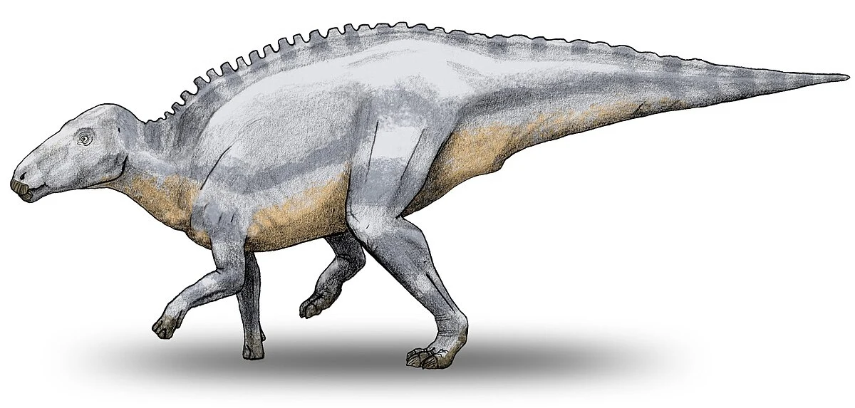 Dinozaur o masywnym ciele, czterech kończynach i długim ogonie, pokryty szarą skórą z jasnobeżowym brzuchem, posiadający charakterystyczne wypukłości na grzbiecie.