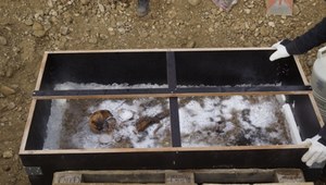 Dziwny pochówek "lodowego księcia". Nowe ustalenia archeologów