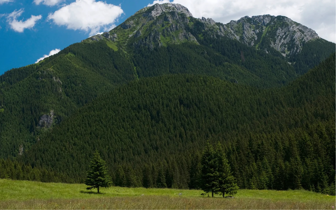 Kominiarski Wierch widziany z Chochołowskiej Polany