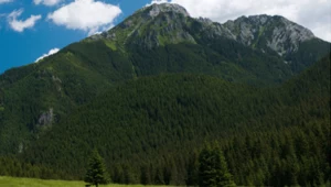 Tatry mniej znane, czyli część pierwsza opowieści o szlakach świętego spokoju [halo tu wakacje]