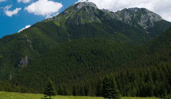 Tatry mniej znane, czyli część pierwsza opowieści o szlakach świętego spokoju [halo tu wakacje]