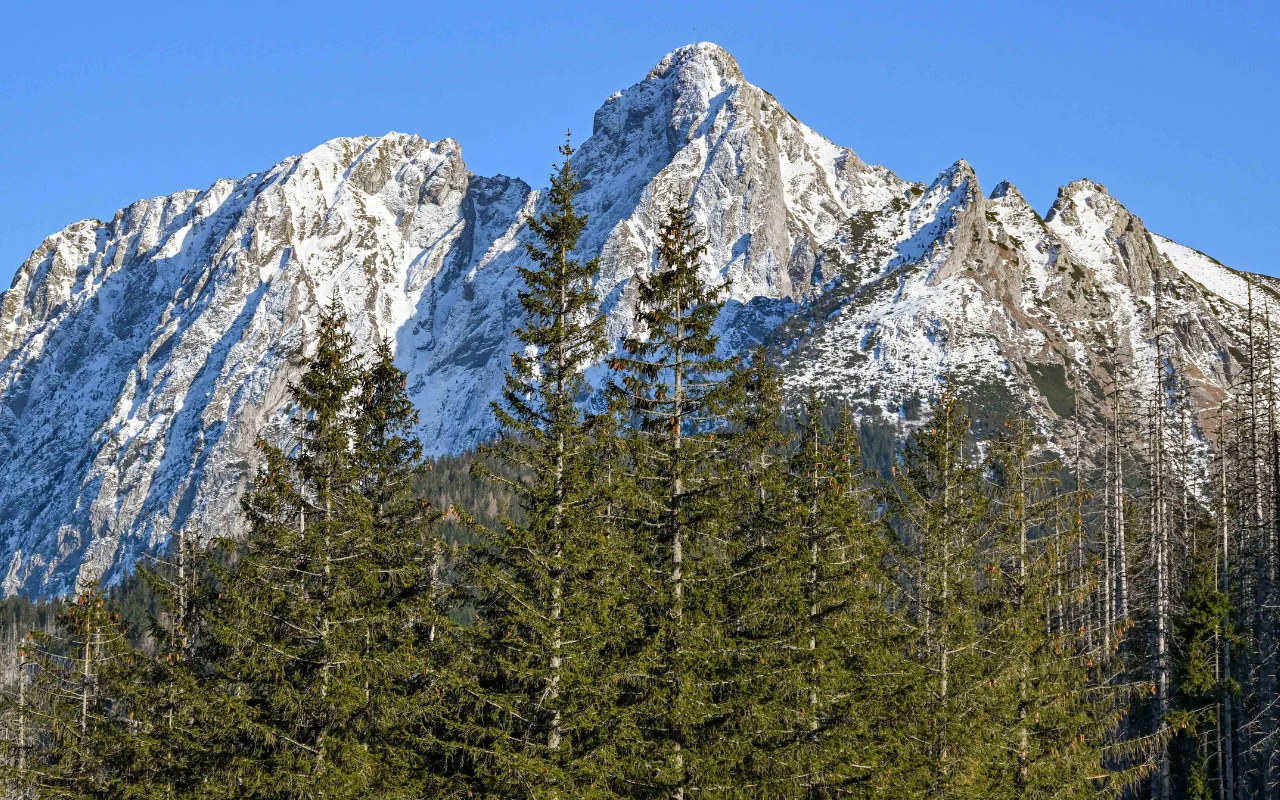 Giewont widziany z Przysłopu Miętusiego