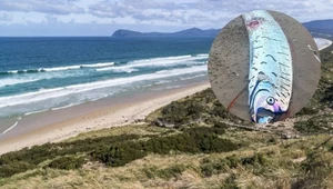 "Ryba zagłady" wyrzucona na brzeg. Rzadkie znalezisko na plaży w Australii