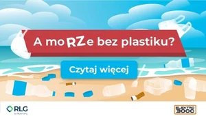 RLG Polska