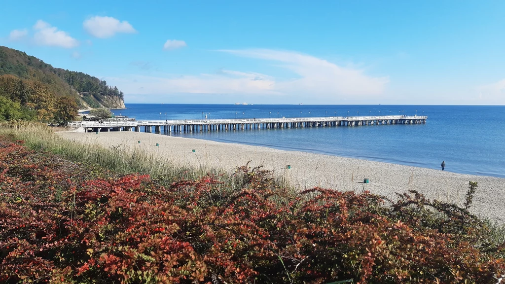 Orłowskie molo i klif to wizytówki willowej dzielnicy Gdyni Długi, drewniany molo wychodzący w morze na tle piaszczystej plaży, wysoka skarpa z drzewami po lewej stronie oraz niskie krzewy z czerwonymi liśćmi na pierwszym planie, spokojna tafla wody i błękitne niebo z delikatnymi chmurami.
