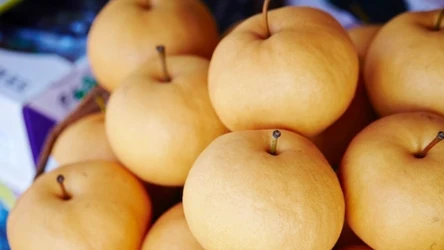 Azjatycka gruszka nashi wyglądem przypomina jabłko.