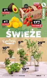 Zrób zapasy i ruszaj w drogę – Netto