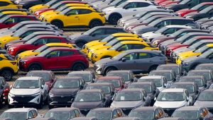 Białe i czarne auto to samo zło. Tylko te kolory trzymają cenę