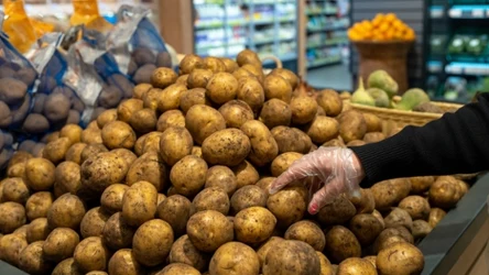Tych ziemniaków lepiej nie jedz. GIS ostrzega  wycofuje ze sklepów. 