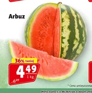Arbuz