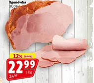 Ogonówka Duda