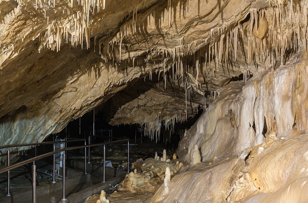 Jaskinia Niedźwiedzia w Kletnie Stalaktyty i stalagmity pokrywające ściany i sufit oświetlonej jaskini z metalowymi barierkami wyznaczającymi trasę zwiedzania