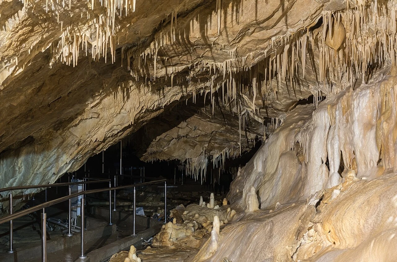 Jaskinia Niedźwiedzia w Kletnie Stalaktyty i stalagmity pokrywające ściany i sufit oświetlonej jaskini z metalowymi barierkami wyznaczającymi trasę zwiedzania