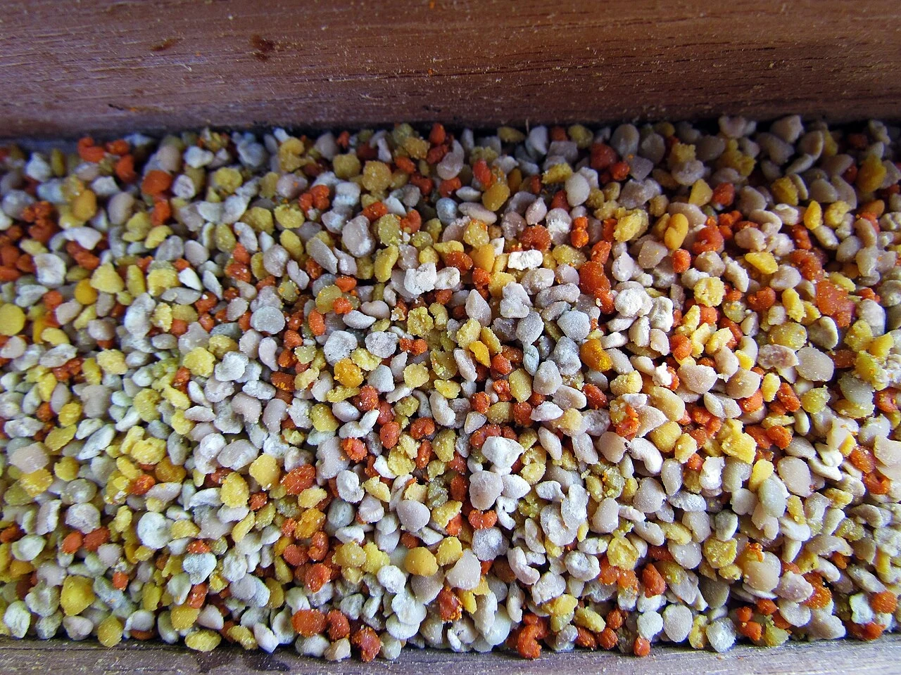 Kolorowe kuleczki pyłku pszczelego o różnych odcieniach żółci, pomarańczu i bieli, rozsypane wewnątrz drewnianego pojemnika.