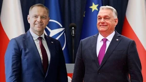 Pierwszy wywiad zagraniczny Karola Nawrockiego. Zapowiedział wzmacnianie V4