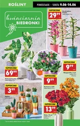 Rabaty, które się opłacają - Biedronka
