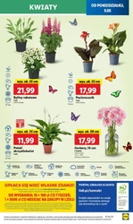 Smak wakacji na talerzu - Lidl