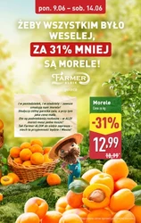 Rabaty aż do 88% - Aldi
