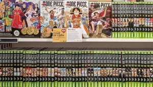 Nowa gra z serii One Piece nadchodzi. Wkrótce oficjalna zapowiedź