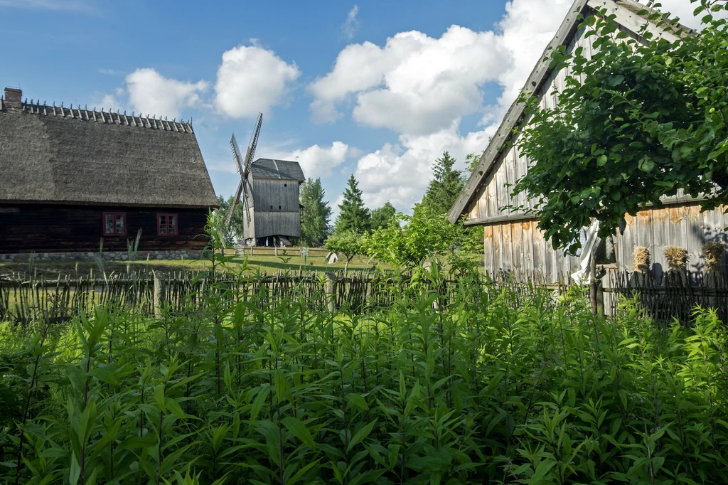 Ogromny obszar Kaszubskiego Parku Etnograficznego zachęca do długich spacerów i podziwiania dawnej architektury drewnianej Pomorza Drewniane chaty z wysokimi dachami otoczone są gęstą bujną roślinnością i drewnianym płotem, w tle widoczny jest tradycyjny wiatrak oraz kilka wysokich drzew pod jasnym niebem z licznymi białymi chmurami.