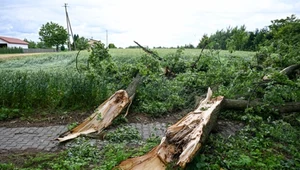 Burze nad Polską. Ranny 11-letni chłopiec