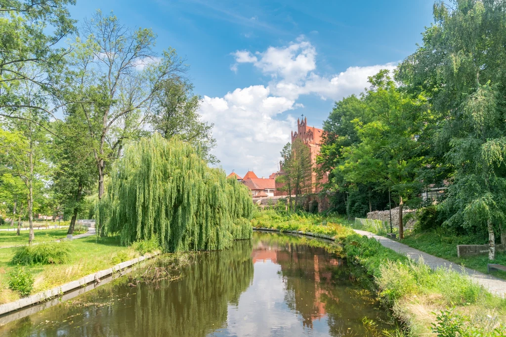 Stolicą Kociewia jest Starogard Gdański. Przez miasto płynie Wierzyca Park z kanałem wodnym otoczony bujną zielenią, po lewej stronie rozłożysty wierzba płacząca, w tle czerwone mury i wieże gotyckiego budynku otulone drzewami, po prawej chodnik wzdłuż strumienia.