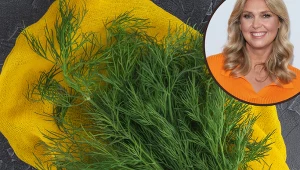 Zapomnij o mrożeniu koperku. Ewa Wachowicz przechowuje go w ten sposób i zawsze jest świeży