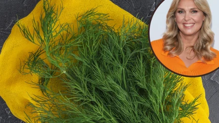 East News/ Jak Ewa Wachowicz przechowuje koperek?