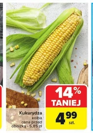 Кукурудза