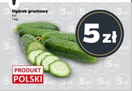 Огірок Polski