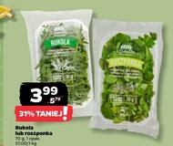 Roszponka Rukola