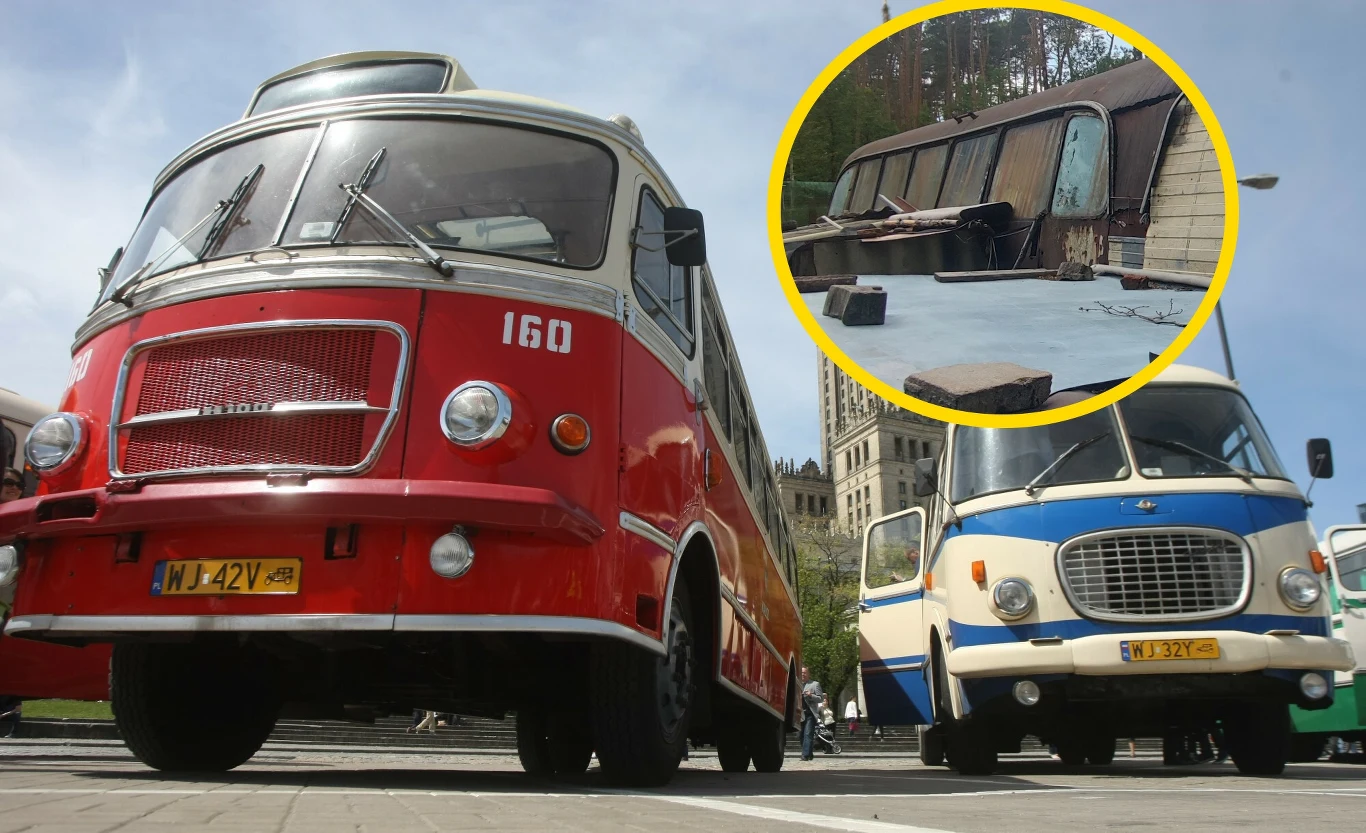 Jest szansa na odbudowę niezwykłego autobusu. Odnaleziono wrak pojazdu, który miał już nie istnieć Czerwony oraz biało-niebieski zabytkowy autobus ustawione na tle historycznego budynku, w okręgu zbliżenie na inny, zniszczony pojazd w stanie rozkładu.