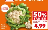 Kalafior Polski