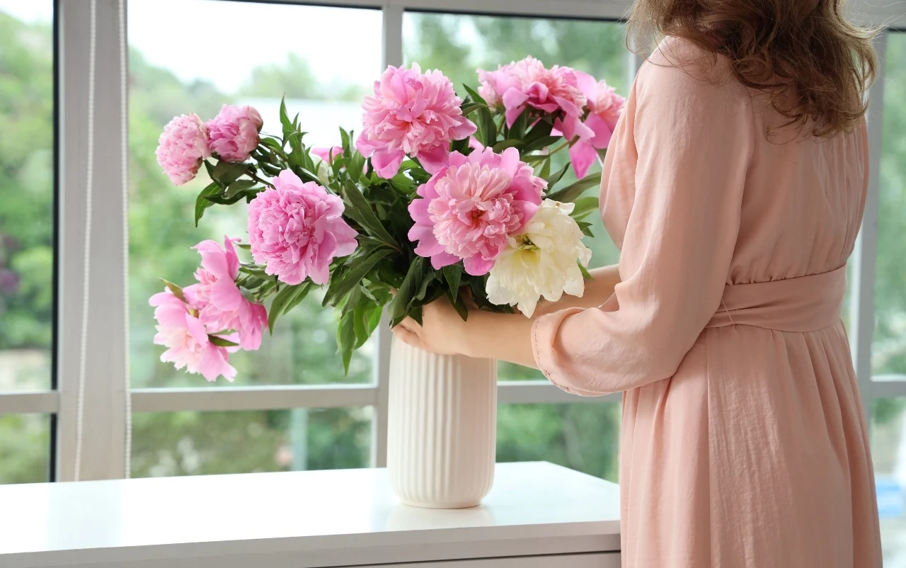 Jeśli odpowiednio zadbasz o kwiaty i wodę, ścięte piwonie będą zdobić wnętrze nawet ponad tydzień