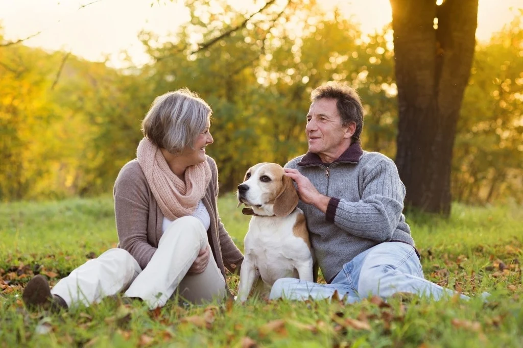Posiadanie pupila może zmniejszyć poziom stresu i pozytywnie wpłynąć na nasze zdrowie Para starszych ludzi siedzi na trawie w parku podczas jesieni, obok nich znajduje się pies. Wszyscy są zrelaksowani i uśmiechnięci, otacza ich kolorowa roślinność o zachodzie słońca.