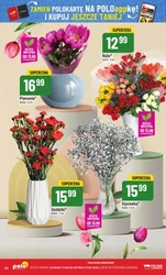 eXXtra promki na grilla - Polomarket