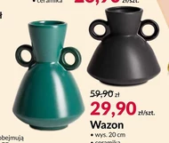 Wazon